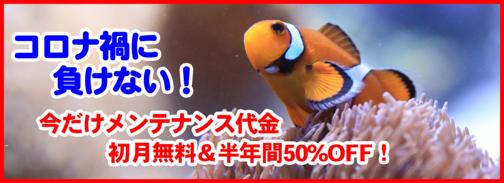 コロナに負けない!