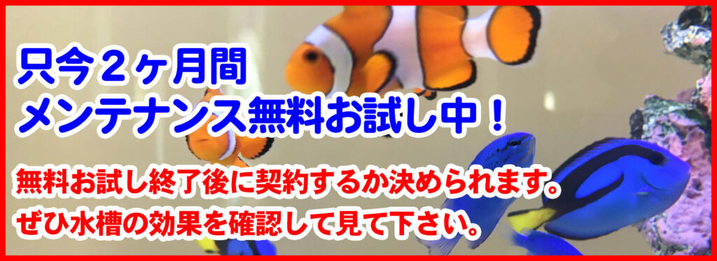 只今2ヶ月間メンテナンス無料お試し中!